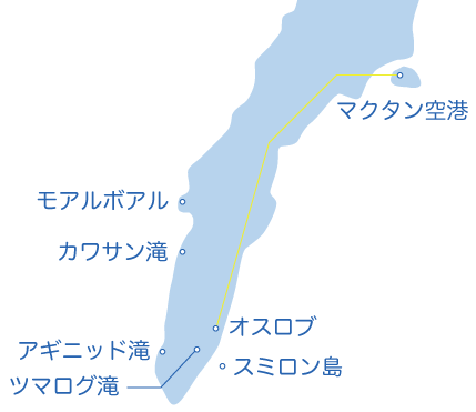 遭遇率はなんと99%！世界でも珍しいジンベイザメが毎日現れる「オスロブ」へ！