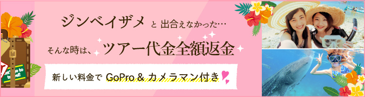 ジンベイザメと出会えなかった場合はツアー代金全額返金